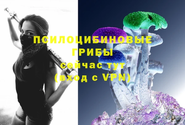 ALPHA PVP Армянск