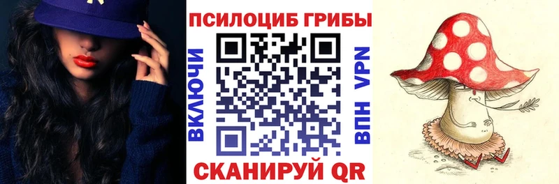 Псилоцибиновые грибы Cubensis  Купить закладки  Дно 